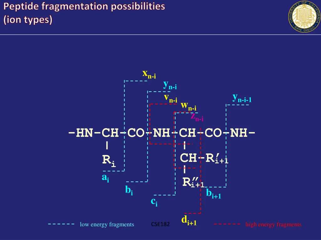 peptide fragmentation possibilities ion types