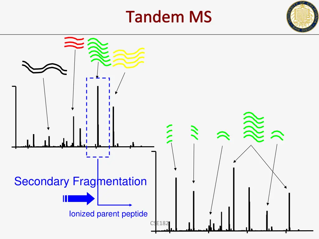 tandem ms