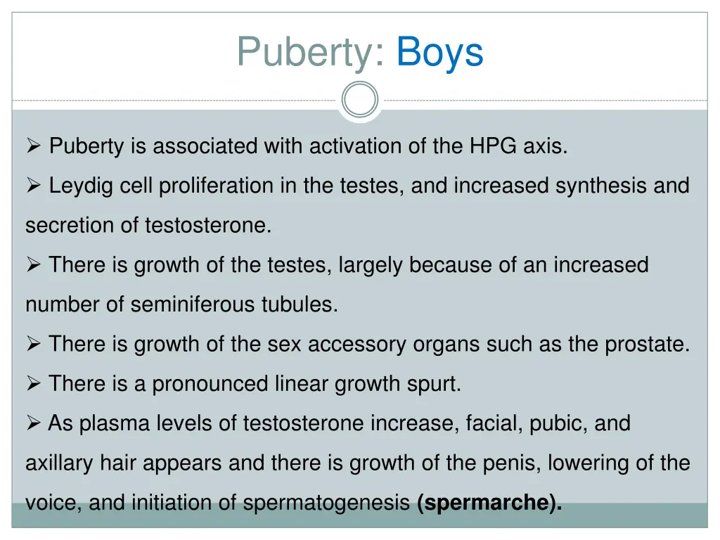 puberty boys