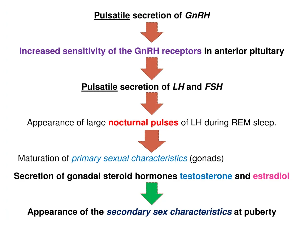 pulsatile secretion of gnrh