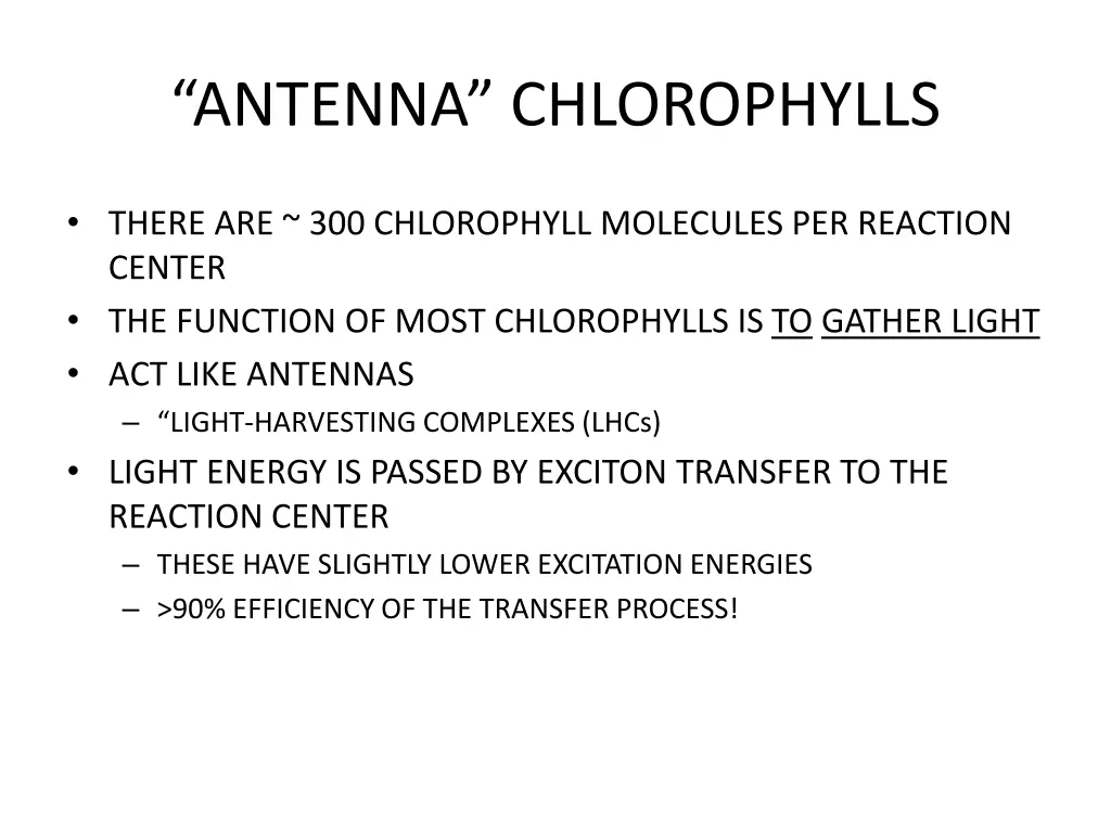 antenna chlorophylls