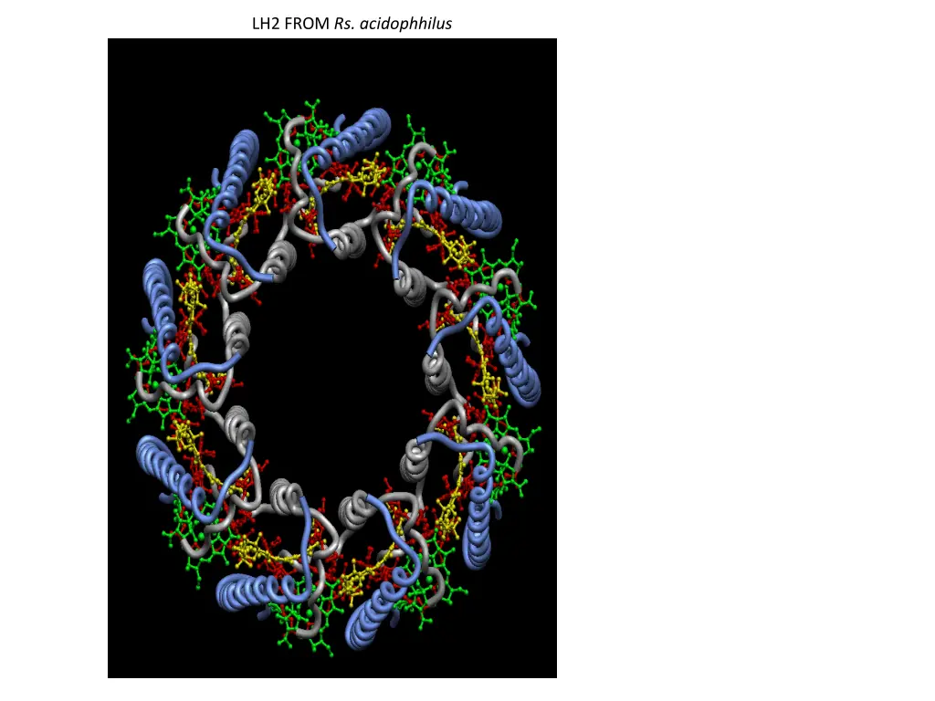lh2 from rs acidophhilus