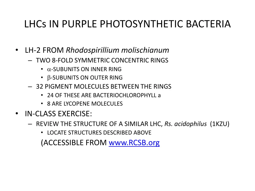 lhcs in purple photosynthetic bacteria