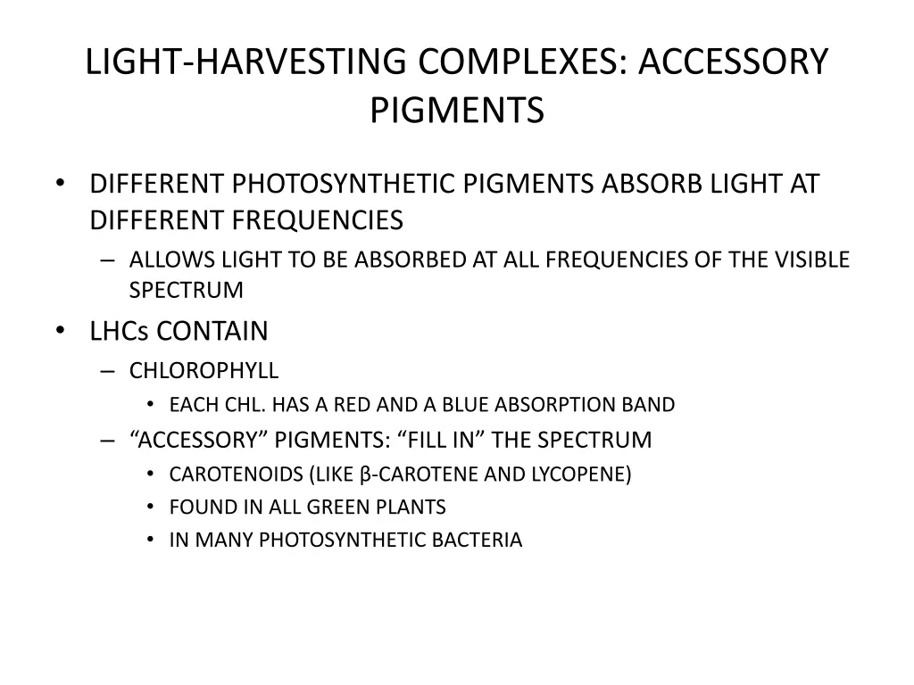 light harvesting complexes accessory pigments