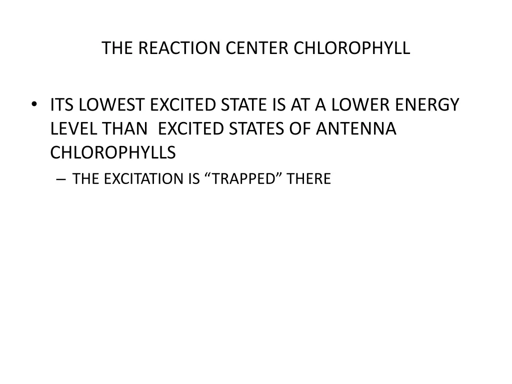 the reaction center chlorophyll