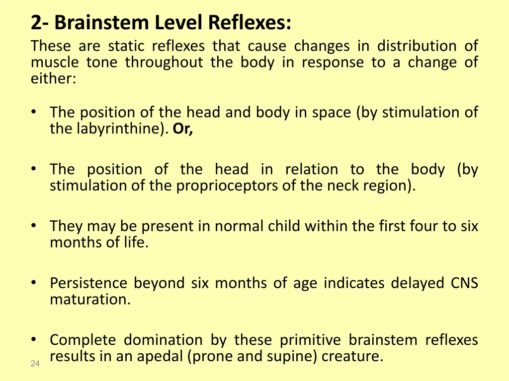 2 brainstem level reflexes these are static