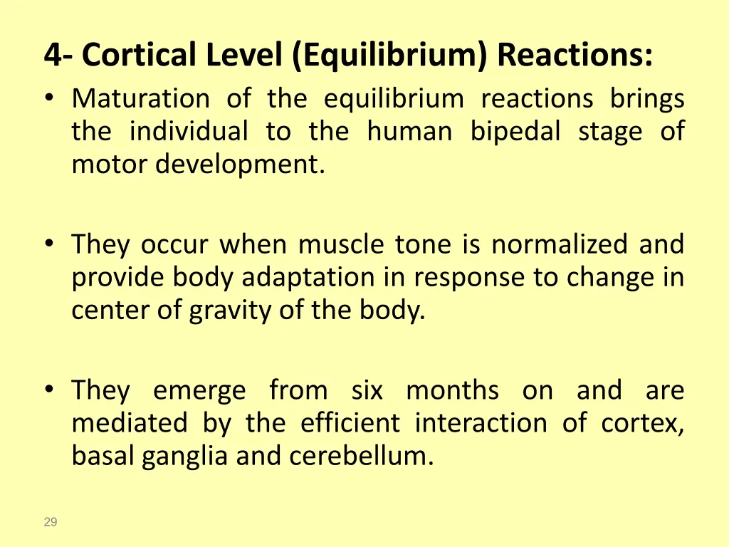 4 cortical level equilibrium reactions maturation