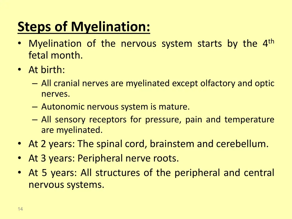 steps of myelination myelination of the nervous