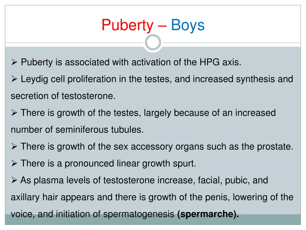 puberty boys