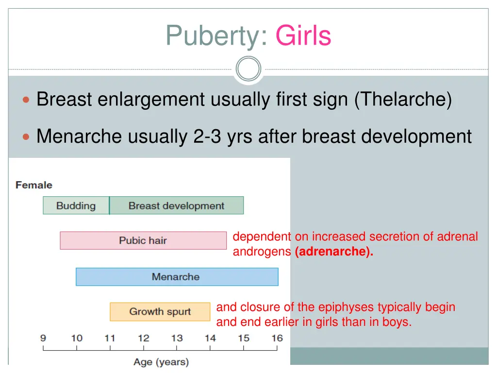 puberty girls