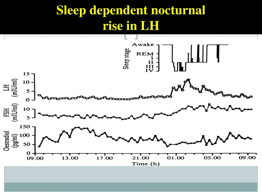 sleep dependent nocturnal rise in lh