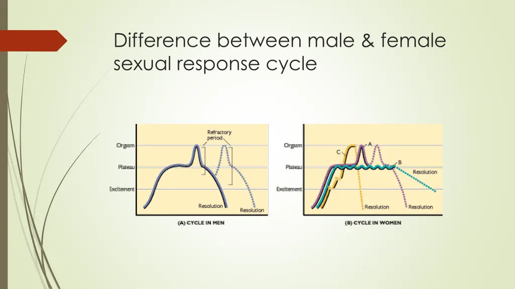difference between male female sexual response
