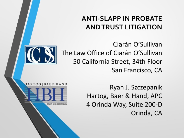 anti slapp in probate and trust litigation