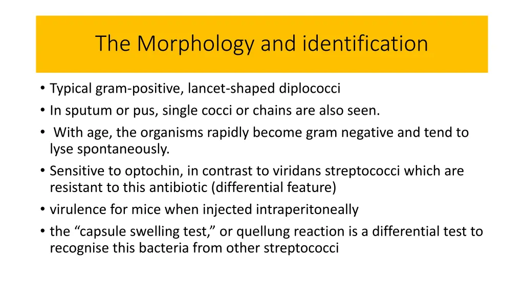 the morphology and identification
