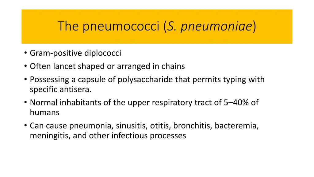 the pneumococci s pneumoniae