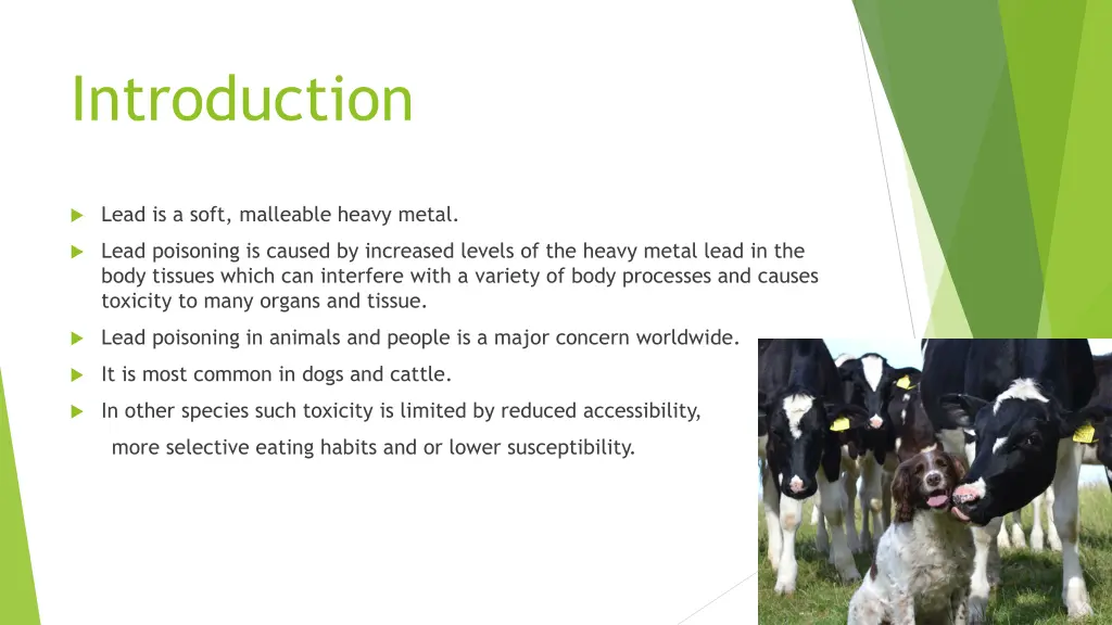 introduction