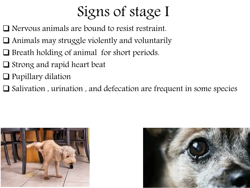 signs of stage i