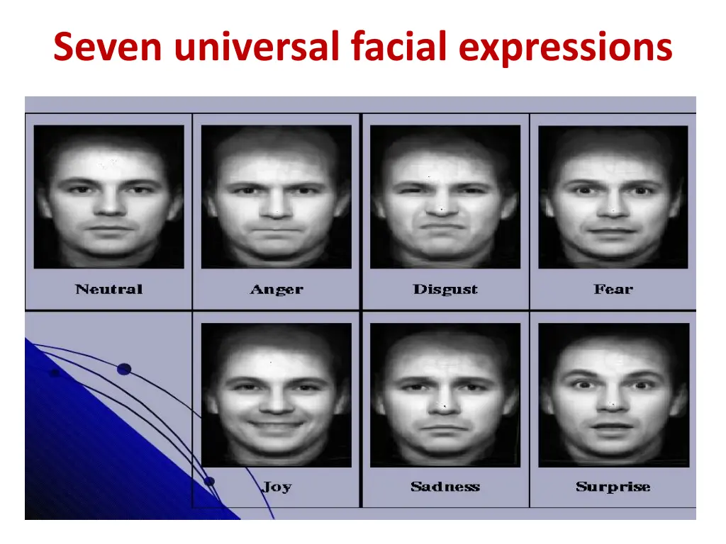 seven universal facial expressions