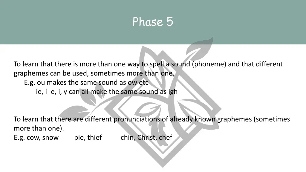 phase 5 1
