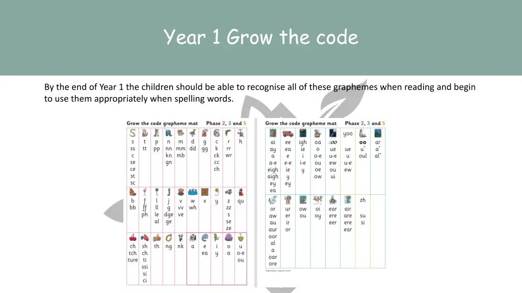 year 1 grow the code
