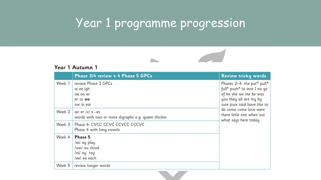 year 1 programme progression