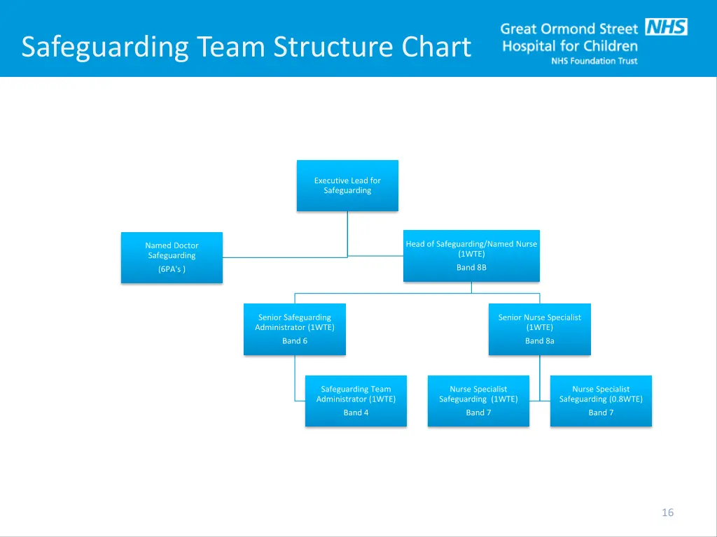 safeguarding team structure chart