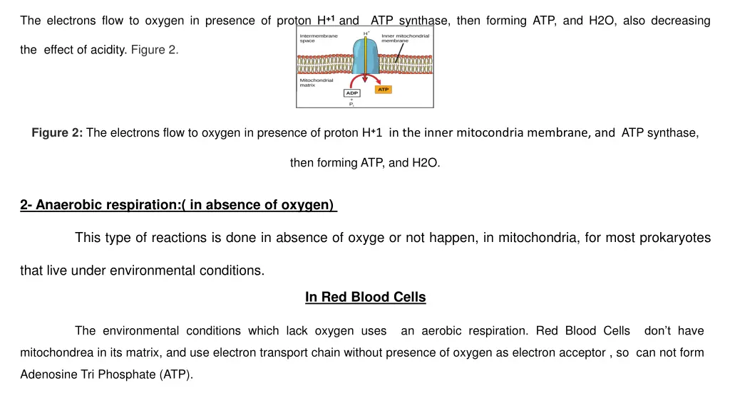 the electrons flow to oxygen in presence
