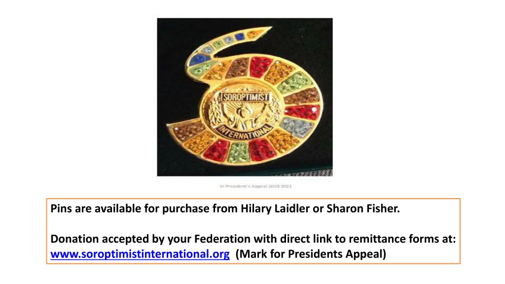 pins are available for purchase from hilary