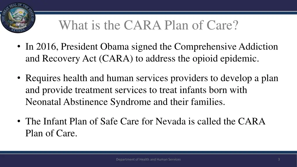 what is the cara plan of care