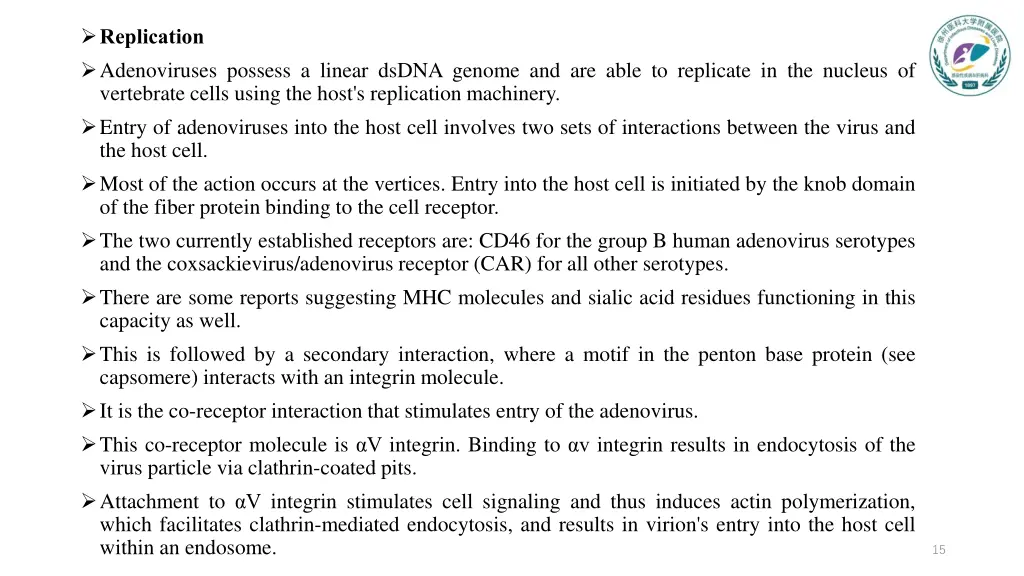 replication adenoviruses possess a linear dsdna