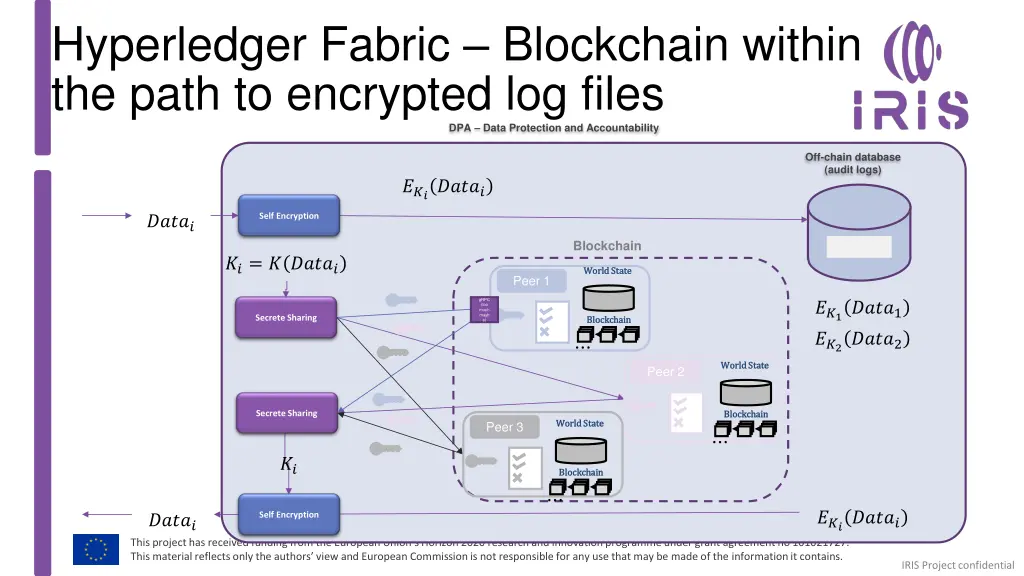 hyperledger fabric blockchain within the path