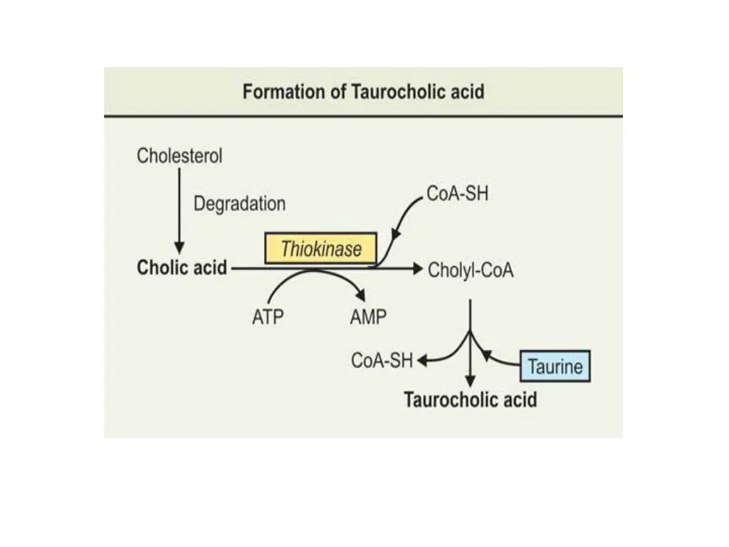slide16