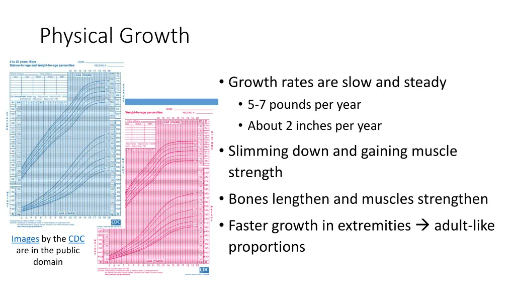 physical growth