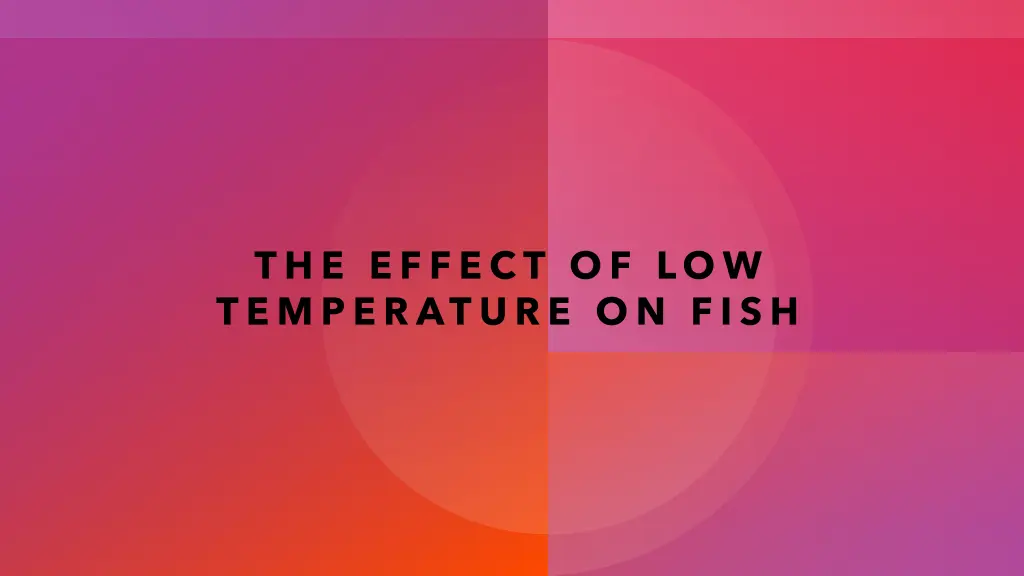 the effect of low temperature on fish