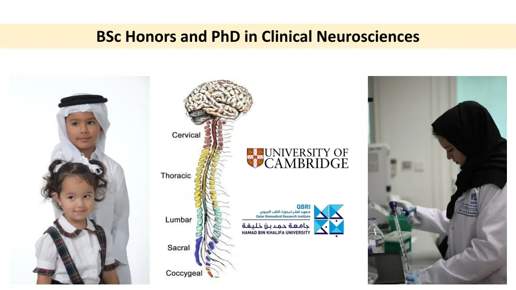 bsc honors and phd in clinical neurosciences 1