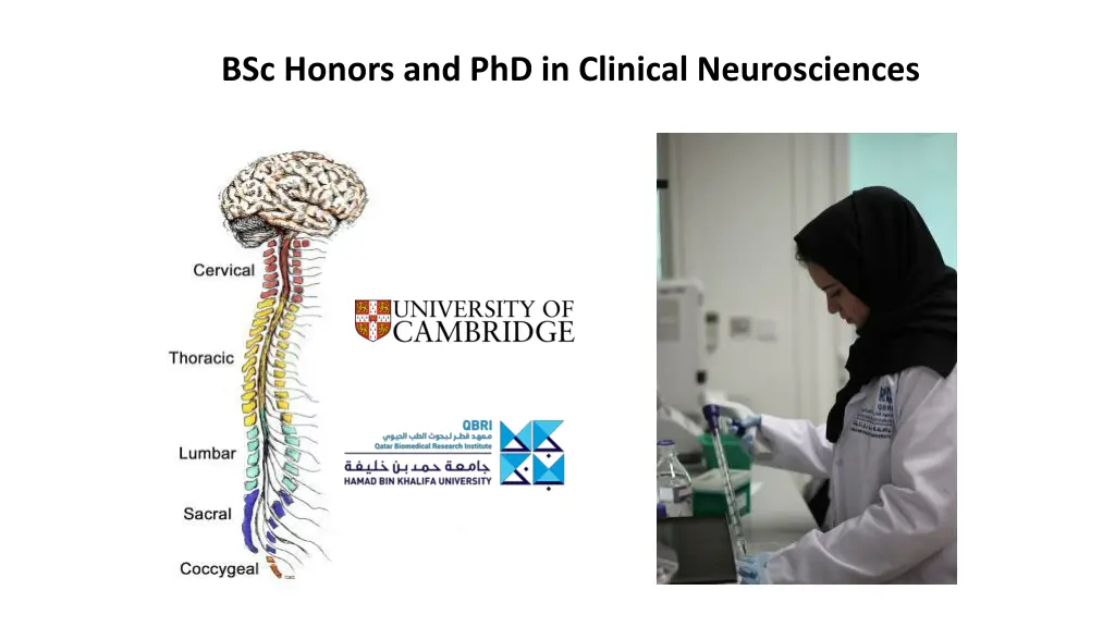 bsc honors and phd in clinical neurosciences