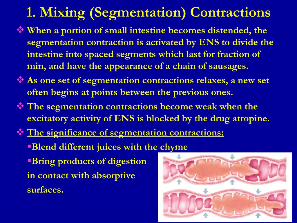 1 mixing segmentation contractions when a portion
