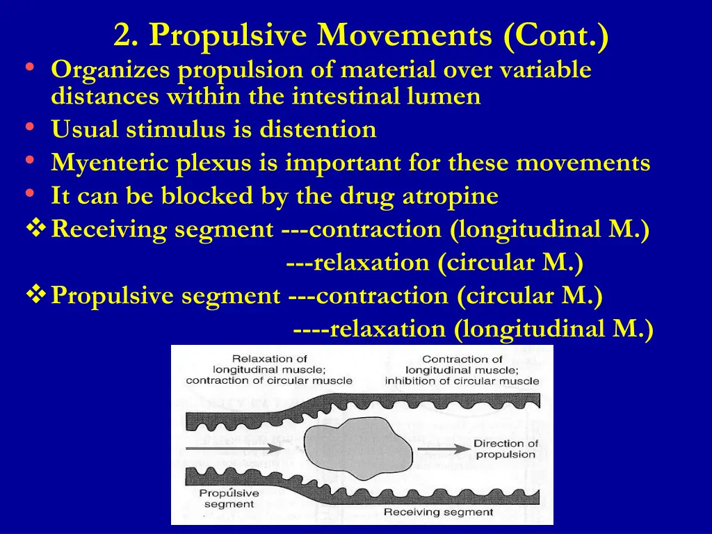 2 propulsive movements cont organizes propulsion