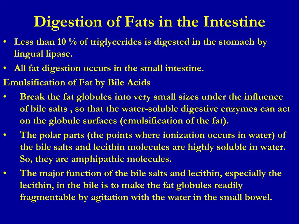 digestion of fats in the intestine