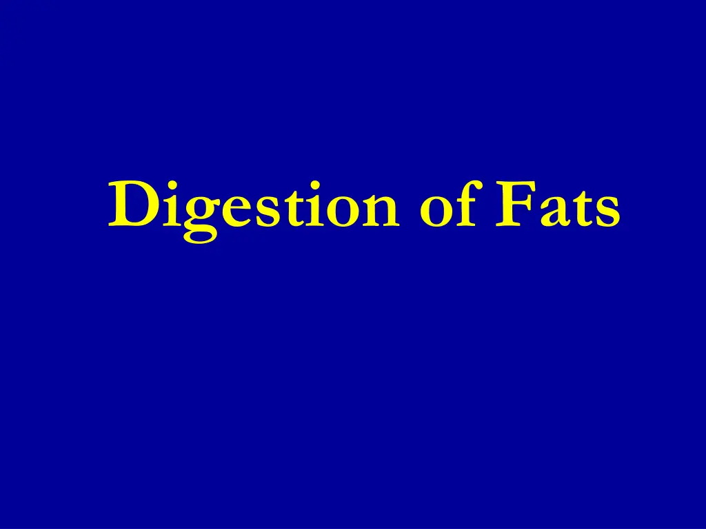digestion of fats