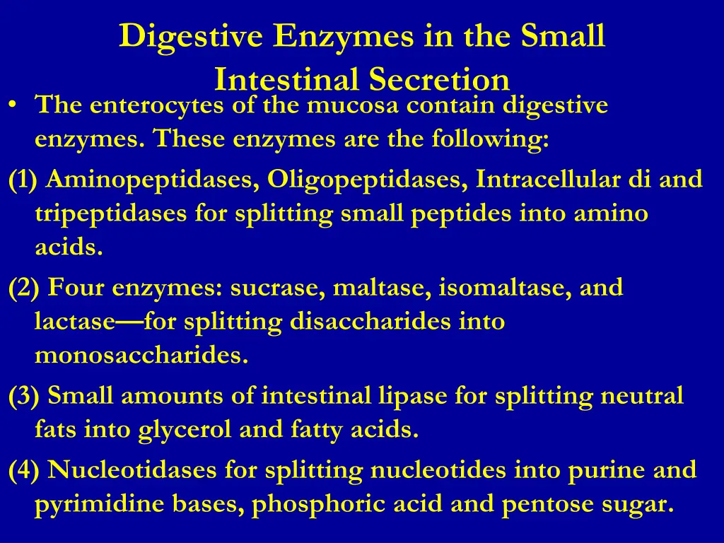 digestive enzymes in the small intestinal