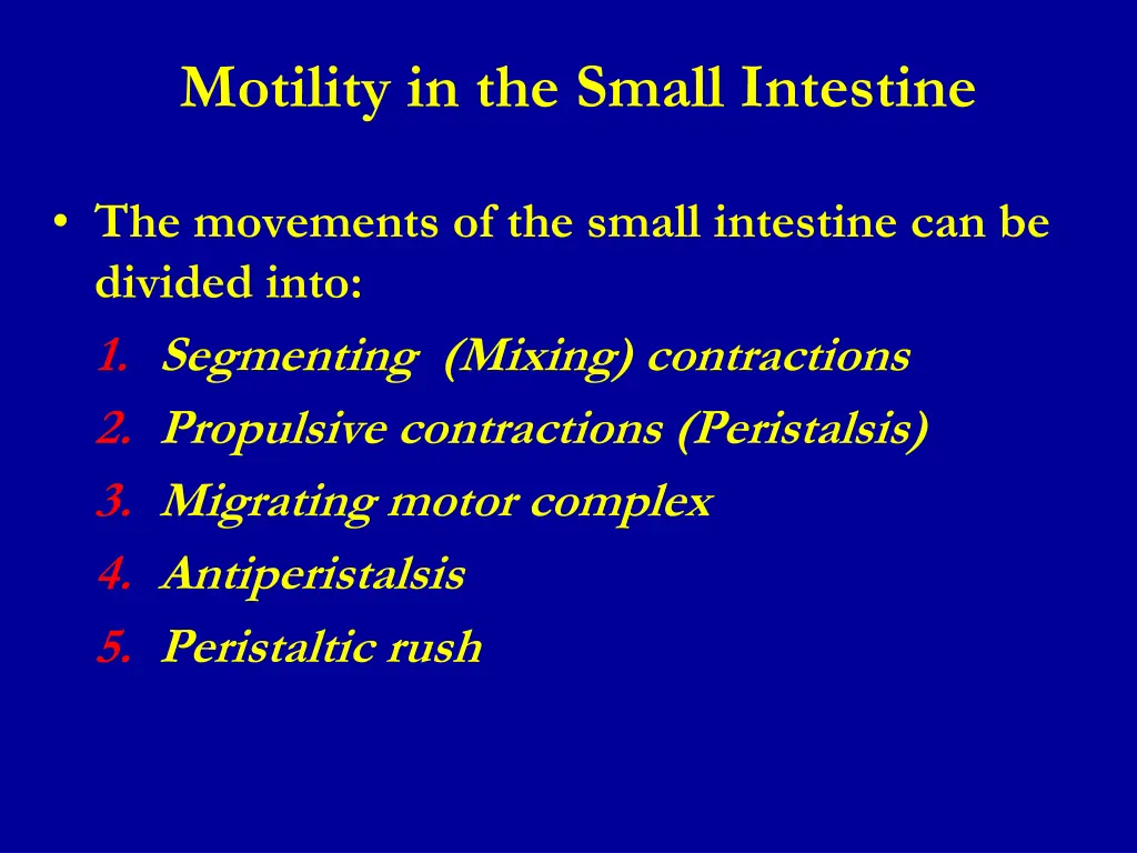 motility in the small intestine