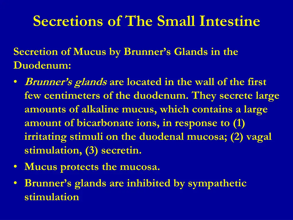 secretions of the small intestine 1