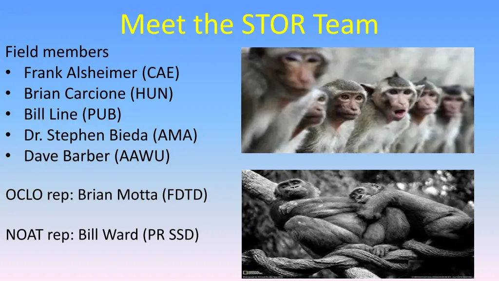 meet the stor team