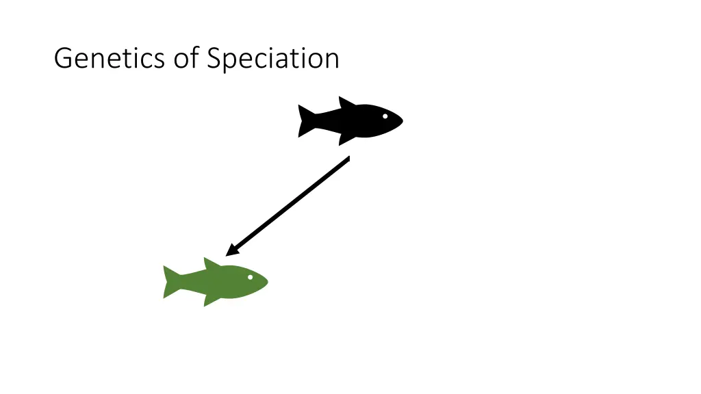 genetics of speciation 2