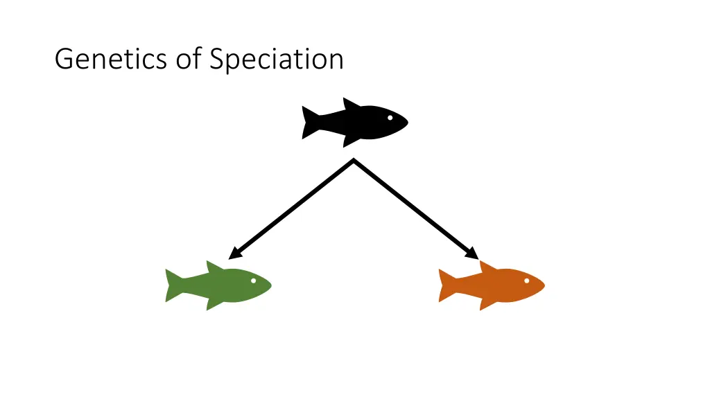 genetics of speciation 3