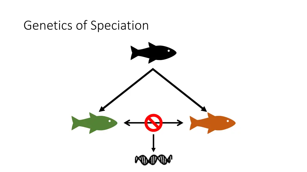 genetics of speciation 5