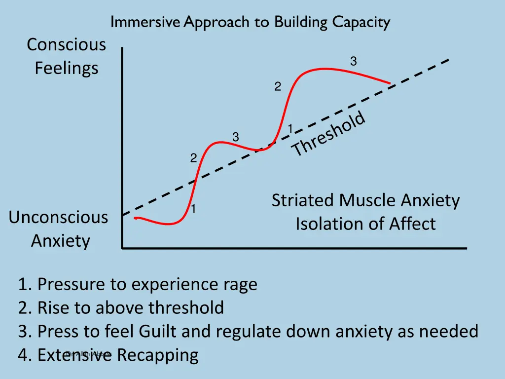 immersive approach to building capacity