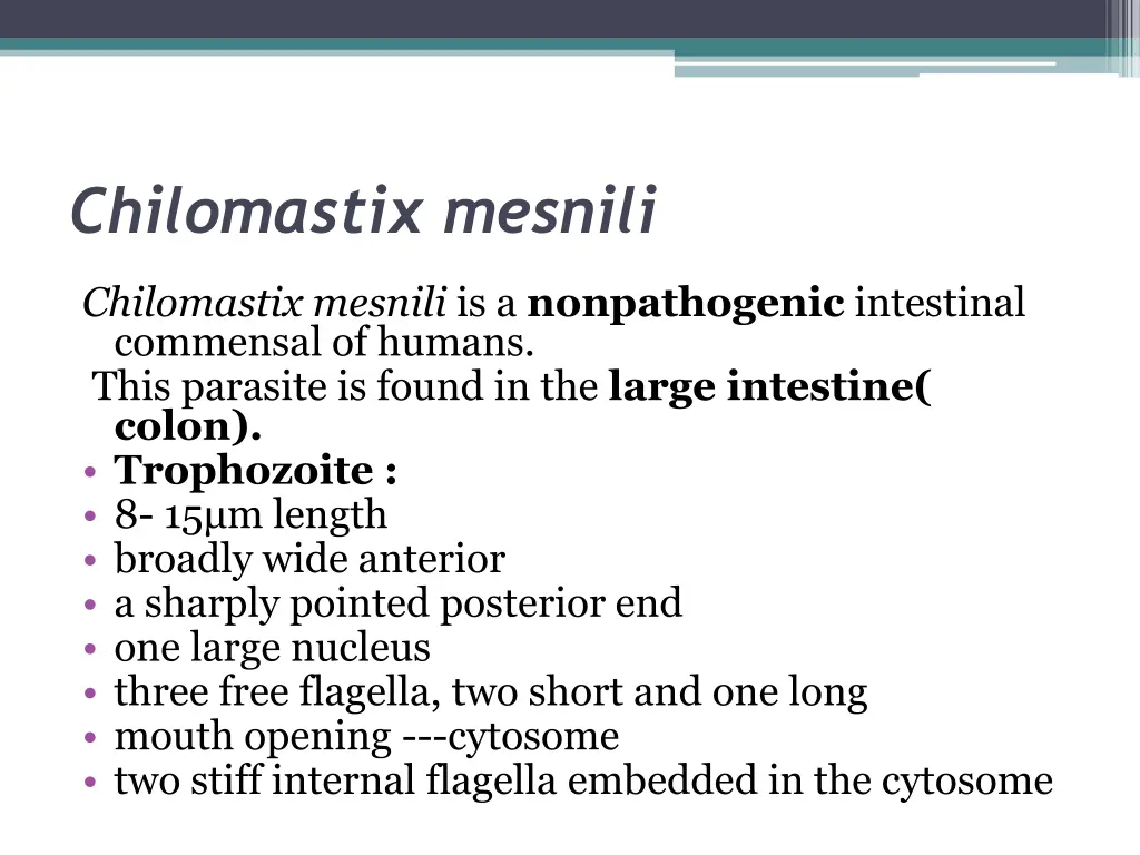 chilomastix mesnili