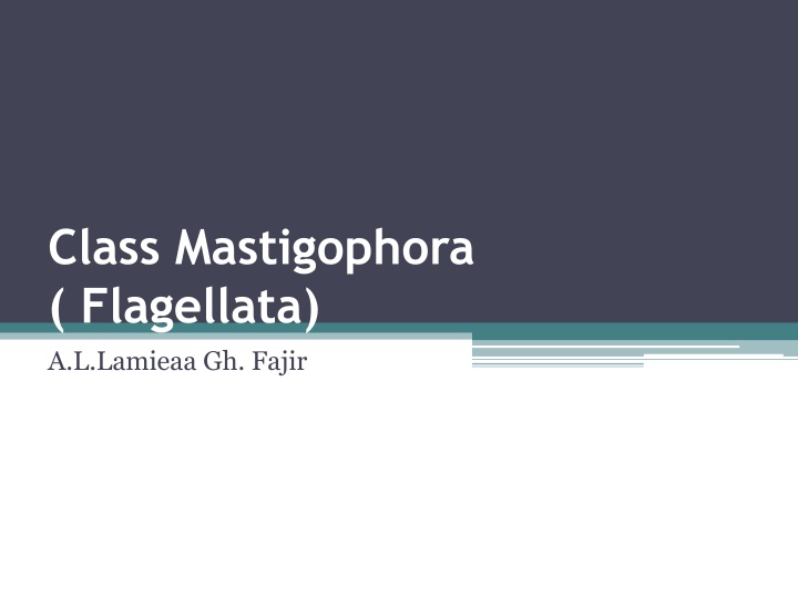 class mastigophora flagellata a l lamieaa gh fajir